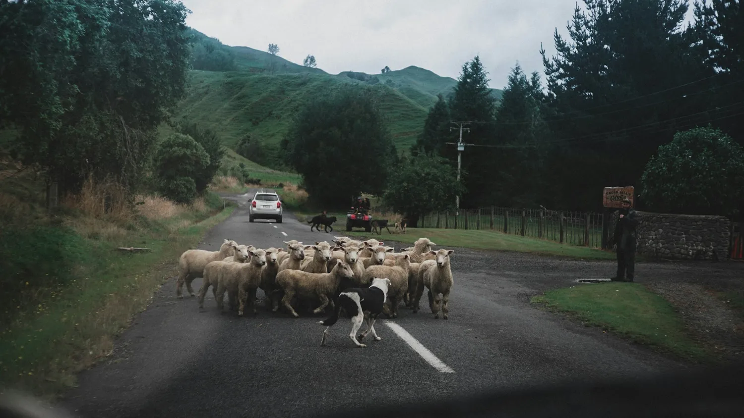 How to Correctly Handle Rural NZ Shipping in Shopify