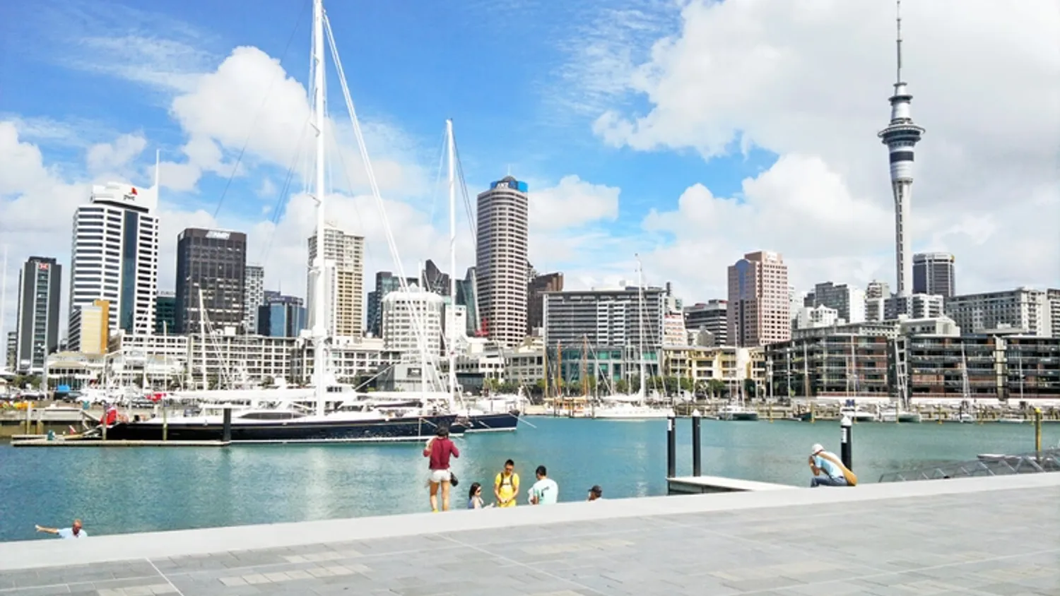 Auckland SEO Success Guide