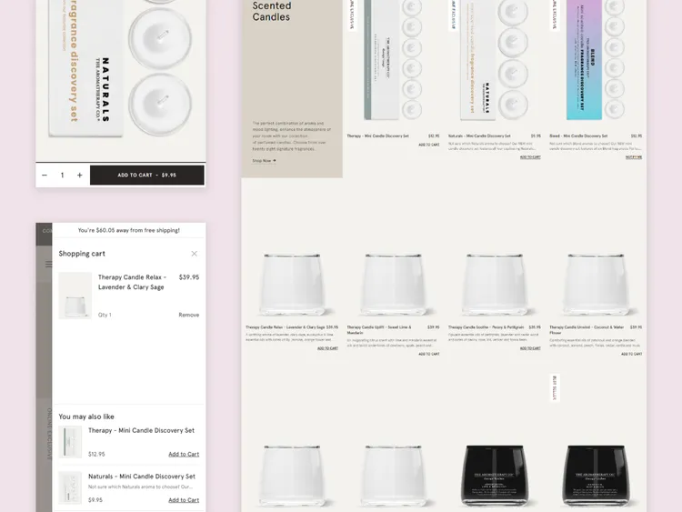 An Explosive 158% Growth in Sales with the Shopify Success Program